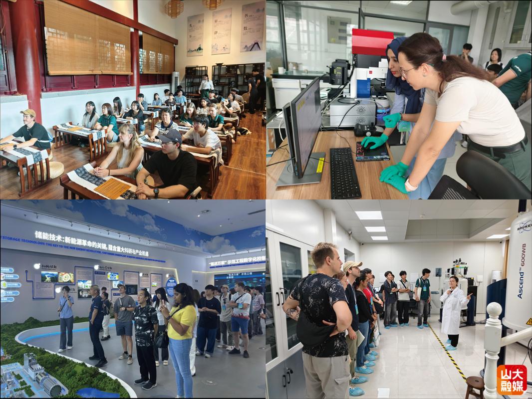 Cultural activities, instrument training and research visits.