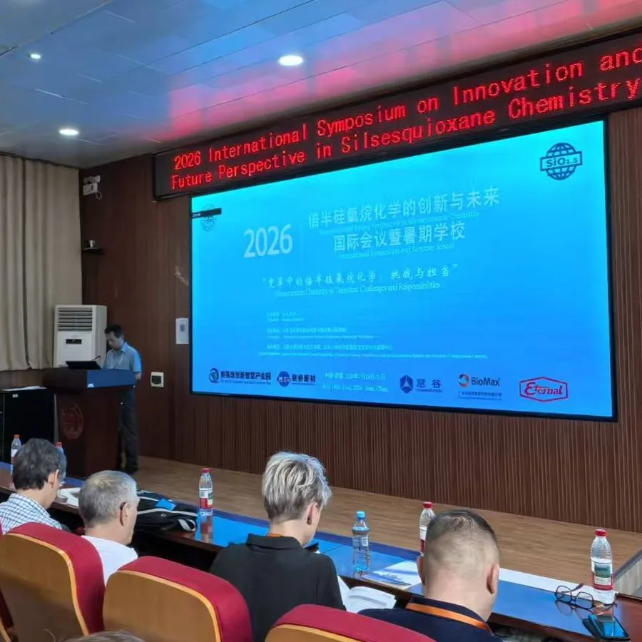 2026 Innovation and Future Perspective in Silsesquioxane Chemistry International Symposium and Summer School